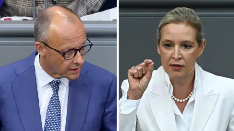 AfD Merz Debate